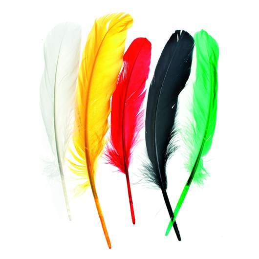 plumes indiennes ca.16cm